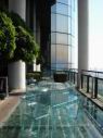 Banyan Tree01.jpg